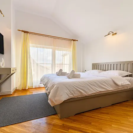Pensiunea Casa Bono Guest house