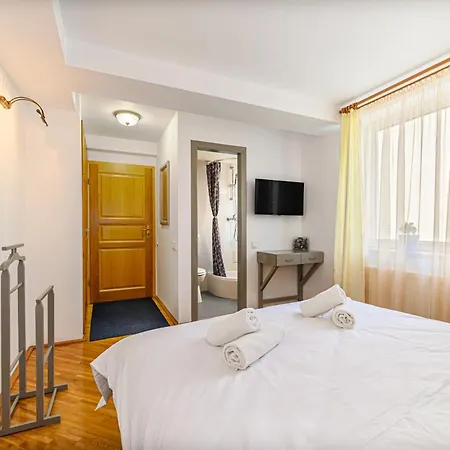 Pensiunea Casa Bono Guest house