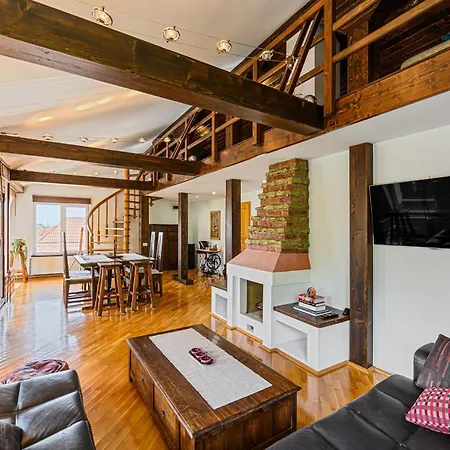 Guest house Pensiunea Casa Bono